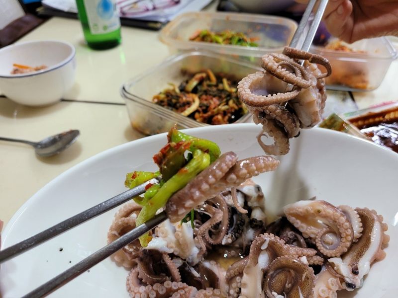 목포제주수산님의 장터 판매 상품 [신안 뻘 봄쭈꾸미 알쭈꾸미] 첨부 사진