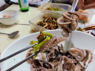 목포제주수산님의 작성글 사진