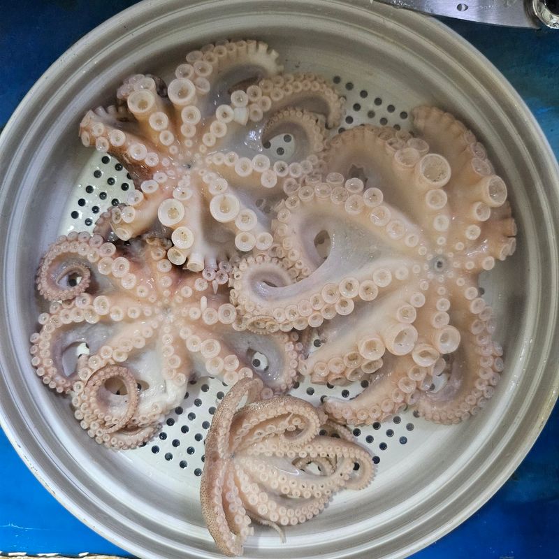 목포제주수산님의 장터 판매 상품 [신안 뻘 봄쭈꾸미 알쭈꾸미] 첨부 사진