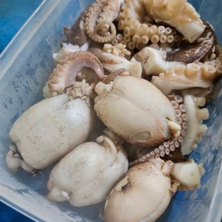 목포제주수산님의 작성글 사진