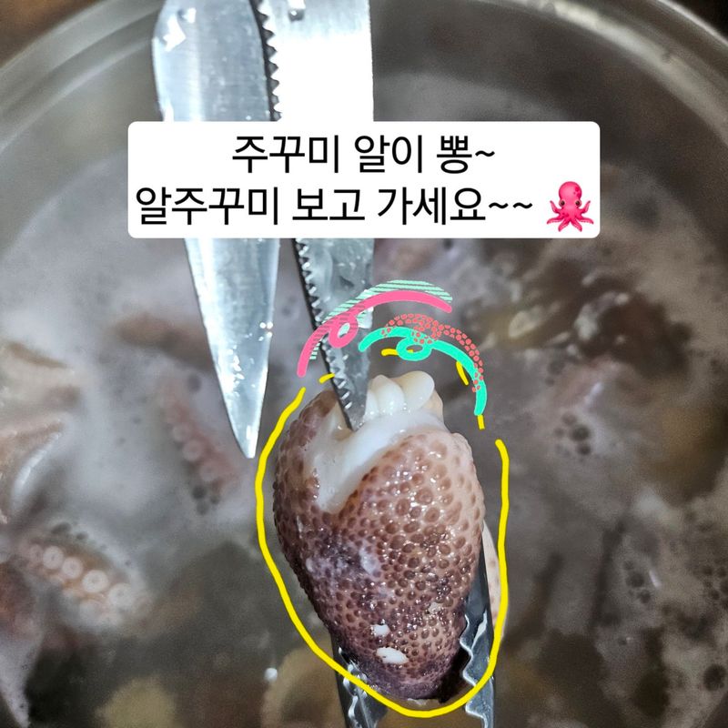 장터 상품 [신안 뻘 봄쭈꾸미 알쭈꾸미] 썸네일