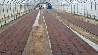 곽행남님의 파 · 자유게시판 작성글 사진