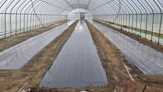 곽행남님의 파 · 자유게시판 작성글 사진