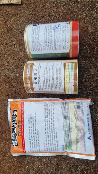 곽행남님의 파 · 자유게시판 작성글 사진