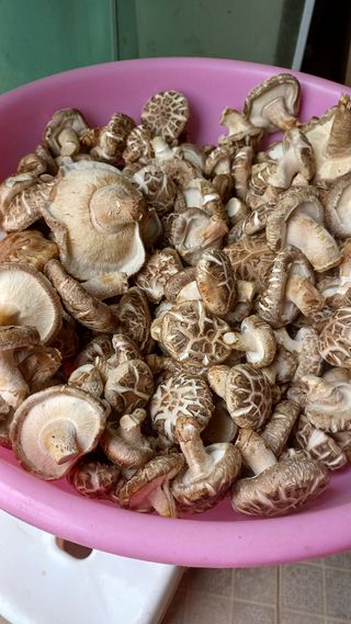 파란농원님의 작성글 사진