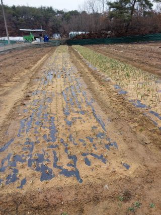 성주 농업인님의 함께 일하는 동료는 몇명인가요? · 참여글 작성글 사진
