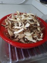 팜모닝 자유주제·자유게시판 게시글 이미지