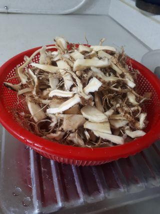 순자님의 자유주제 · 자유게시판 작성글 사진