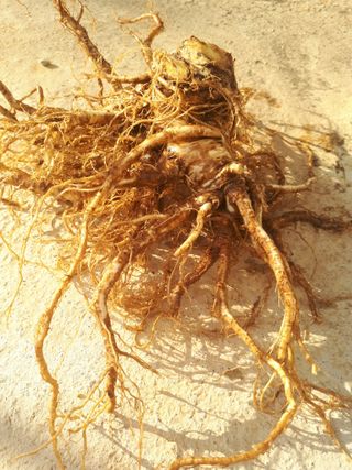 순자님의 자유주제 · 자유게시판 작성글 사진