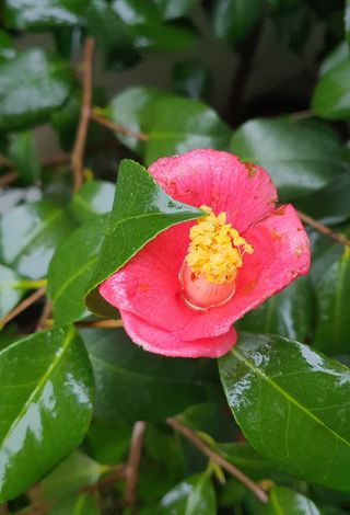 한밭농원님의 버섯 · 일상 작성글 사진