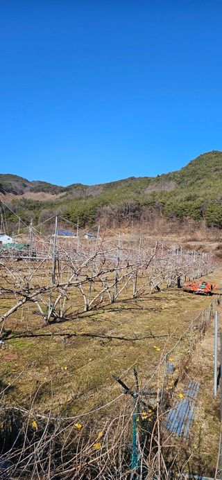 김둘점님의 작성글 사진