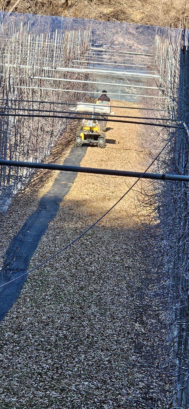 김둘점님의 장터 판매 상품 [2080몰약보르도 10L] 첨부 사진