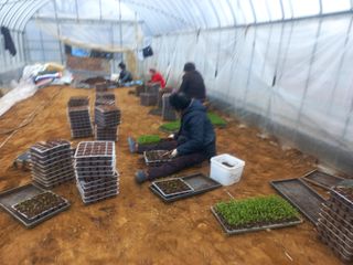 알 수 없음님의 자유주제 · 자유게시판 작성글 사진