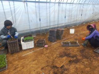 알 수 없음님의 자유주제 · 자유게시판 작성글 사진