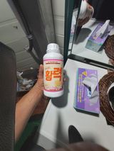 팜모닝 팜모닝·출석 게시글 이미지