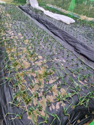 강옥석님의 자유주제 · 자유게시판 작성글 사진