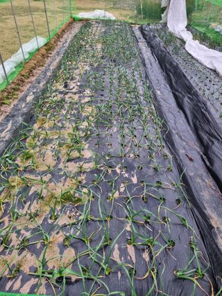 강옥석님의 자유주제 · 자유게시판 작성글 사진