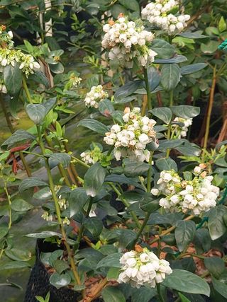 진영혜님의 함께 일하는 동료는 몇명인가요? · 참여글 작성글 사진