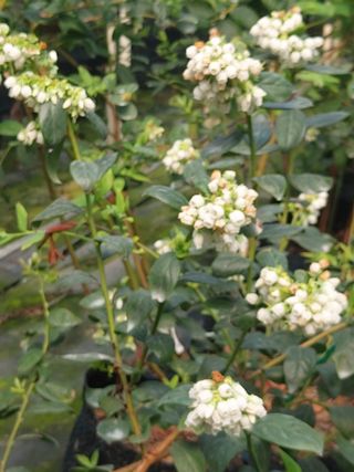 진영혜님의 함께 일하는 동료는 몇명인가요? · 참여글 작성글 사진