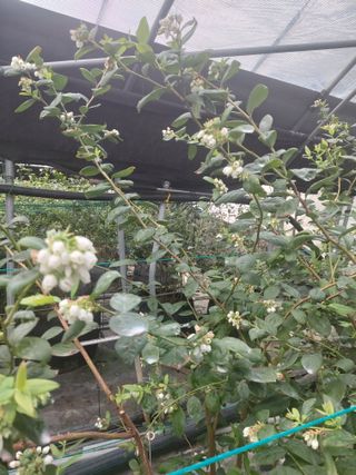 진영혜님의 함께 일하는 동료는 몇명인가요? · 참여글 작성글 사진