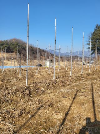 혜기농원(놀이터)님의 함께 일하는 동료는 몇명인가요? · 참여글 작성글 사진