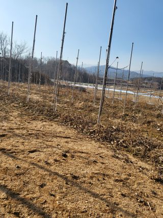 혜기농원(놀이터)님의 함께 일하는 동료는 몇명인가요? · 참여글 작성글 사진