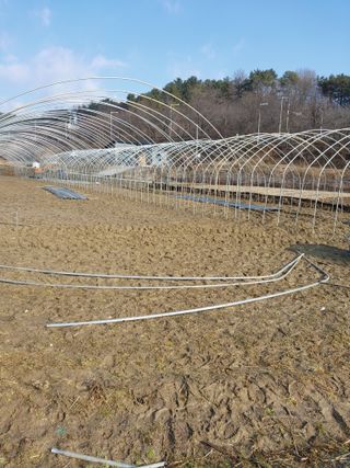 서영득님의 함께 일하는 동료는 몇명인가요? · 참여글 작성글 사진