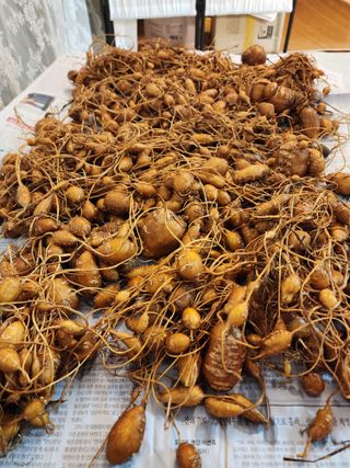 권지연.옥천.님의 기타작물 · 자유게시판 작성글 사진