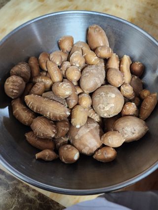 권지연.옥천.님의 기타작물 · 자유게시판 작성글 사진