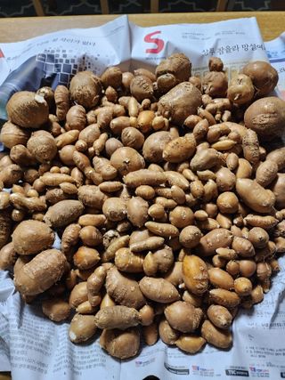 권지연.옥천.님의 기타작물 · 자유게시판 작성글 사진