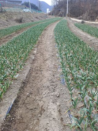 박흠님의 함께 일하는 동료는 몇명인가요? · 참여글 작성글 사진