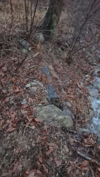 순천채승묵님의 기타작물 · 영농일지 작성글 사진