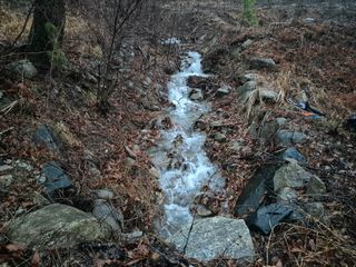순천채승묵님의 기타작물 · 영농일지 작성글 사진