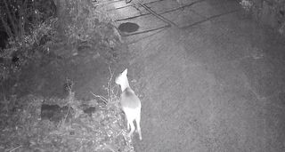 정경희님의 자유주제 · 자유게시판 작성글 사진