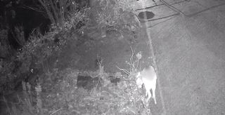 정경희님의 자유주제 · 자유게시판 작성글 사진