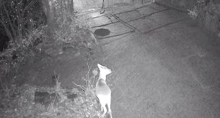 정경희님의 자유주제 · 자유게시판 작성글 사진