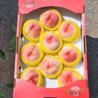 김은경님의 우리지역 대표작물 자랑하기 · 참여글 작성글 사진