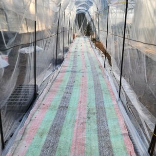 제주부자팜님의 호박 · 영농일지 작성글 사진