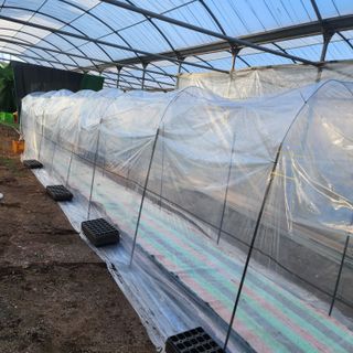 제주부자팜님의 호박 · 영농일지 작성글 사진