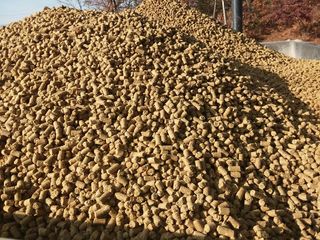 펠렛전문이부장님의 마늘 · 일상 작성글 사진