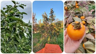 서윤하윤이네님의 작성글 사진