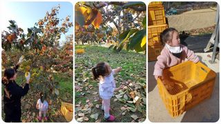 서윤하윤이네님의 작성글 사진