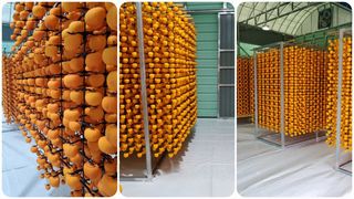 서윤하윤이네님의 작성글 사진