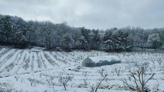 산초박님의 기타작물 · 자유게시판 작성글 사진