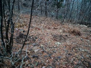 순천채승묵님의 기타작물 · 영농일지 작성글 사진