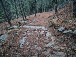 순천채승묵님의 기타작물 · 영농일지 작성글 사진