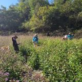 팜모닝 우리지역 대표작물 자랑하기·참여글 게시글 이미지