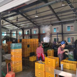 서동일님의 우리지역 대표작물 자랑하기 · 참여글 작성글 사진