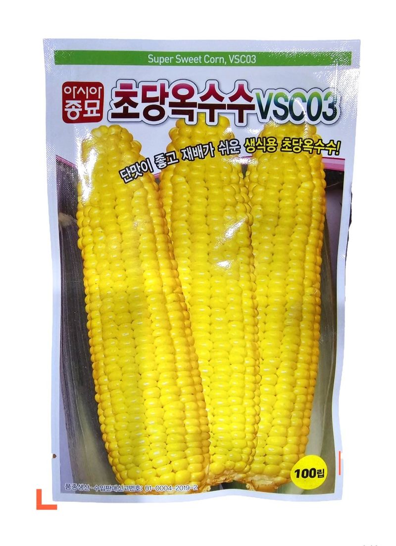 장터 상품 [옥수수씨앗 초당옥수수씨앗] 썸네일