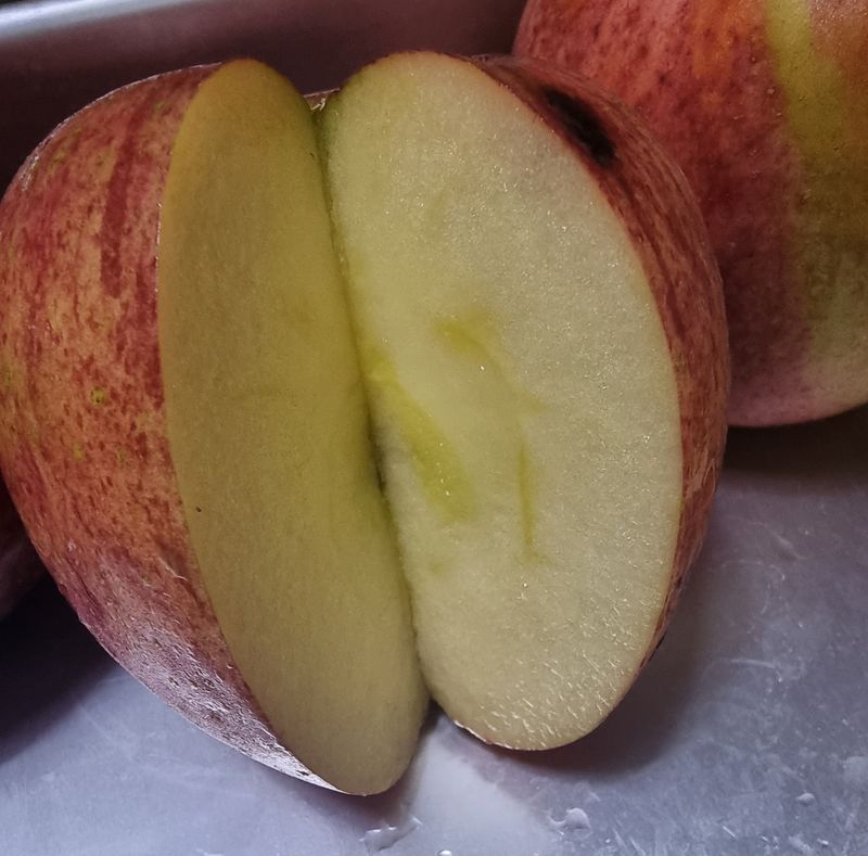 호랑이와인성이님의 장터 판매 상품 [흠과2박스한정판매10kg] 첨부 사진